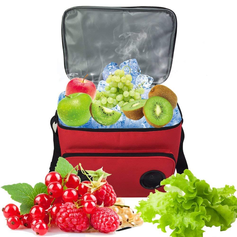Portable Travel Cooler Bag With Built In Speakers