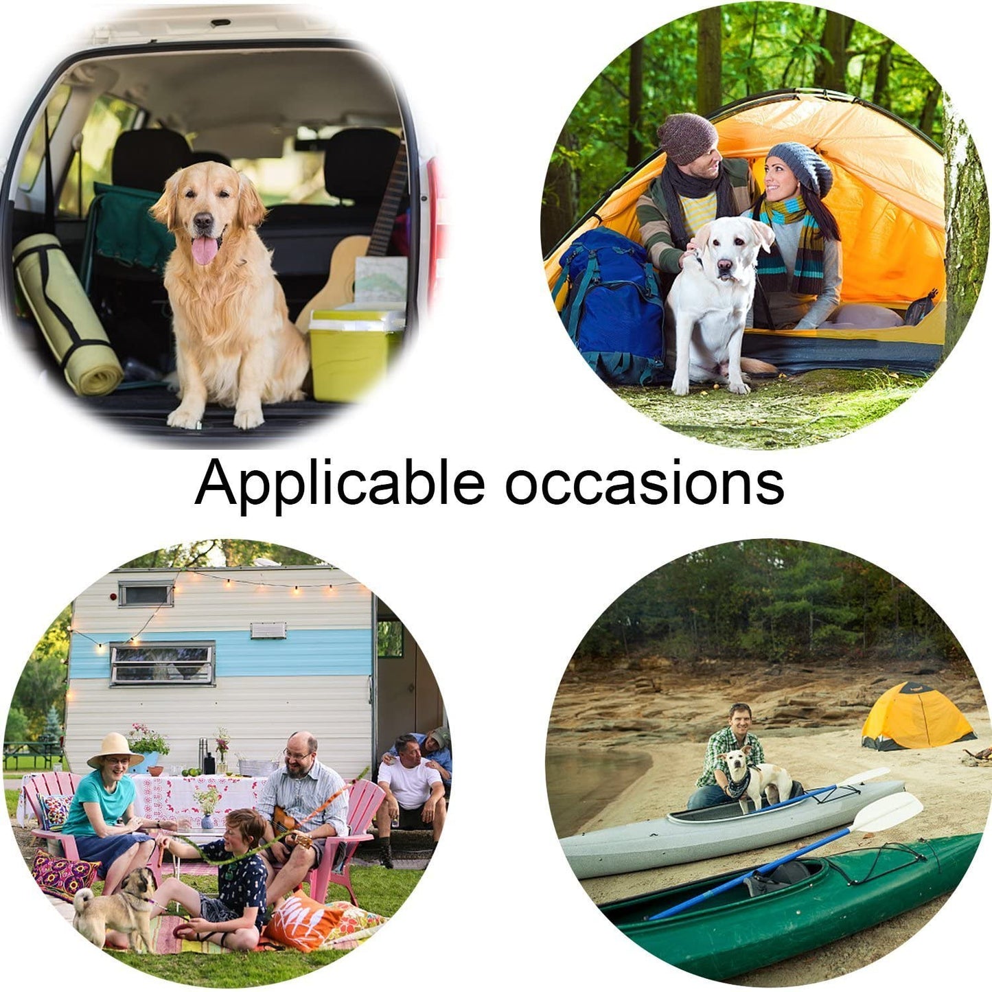 Large Capacity Pet Food Carrier Toys Organizer