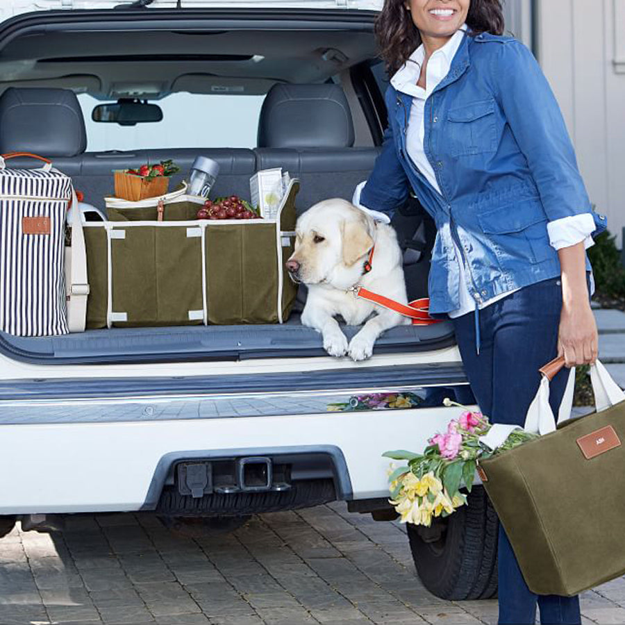 Outdoor Picnic Waterproof Insulated Drink Cooler Bag