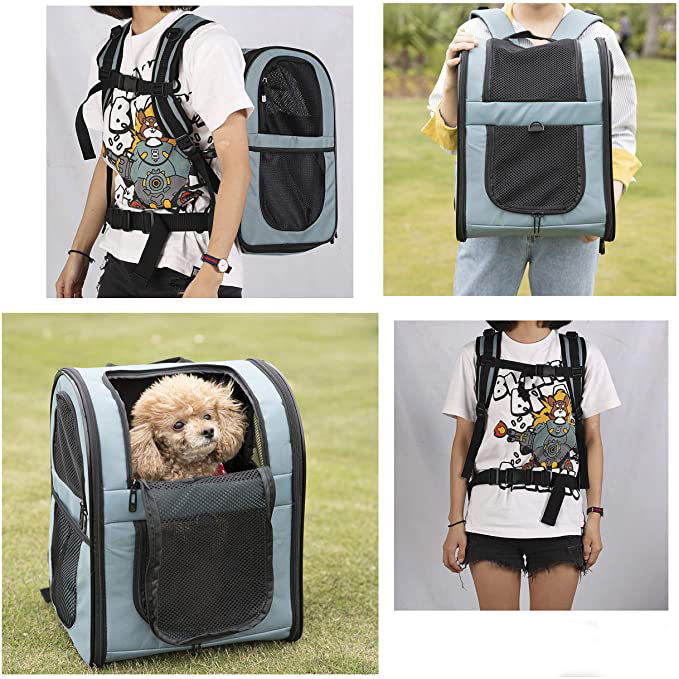 Foldable Small Cats Dogs Pet travel Carrier Bag